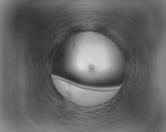 X0000072930035200607210943