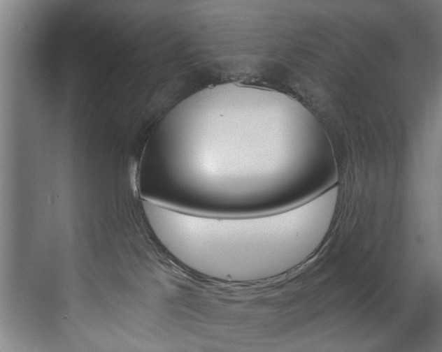 X0000072930041200607210943