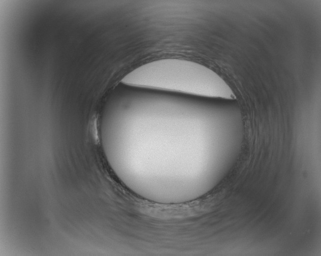 X0000072930042200607210943