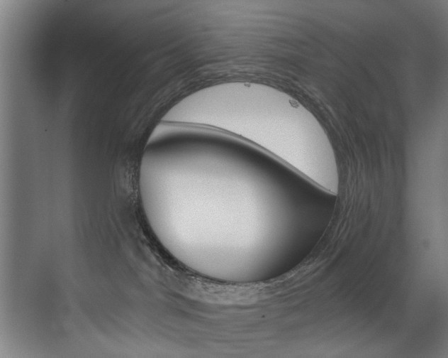 X0000072930044200607210943
