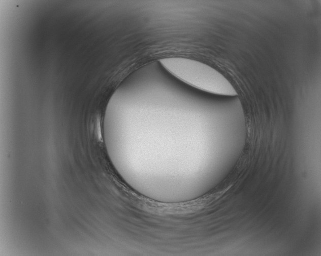 X0000072930046200607210943