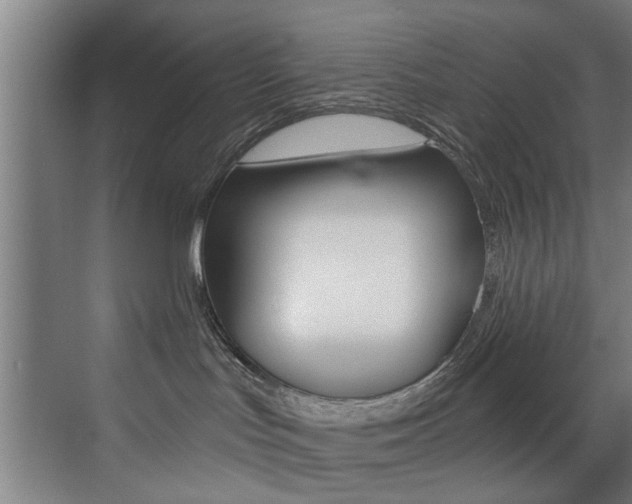 X0000072930047200607210943