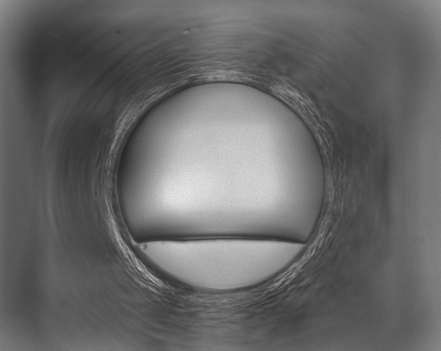 X0000072930049200607210942