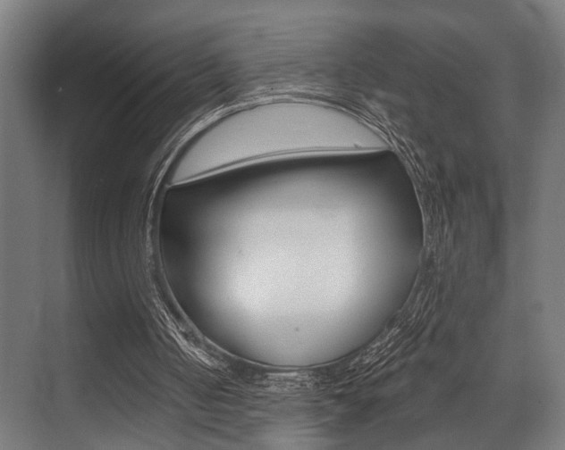 X0000072930050200607210942