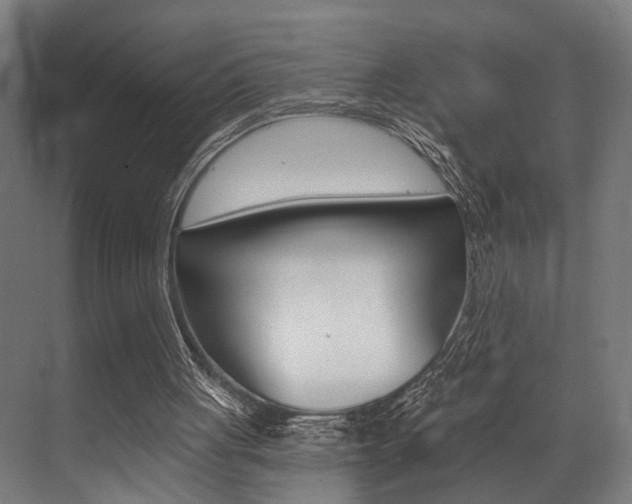 X0000072930051200607210942