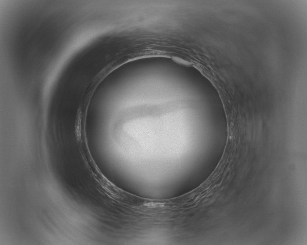 X0000072930052200607210942