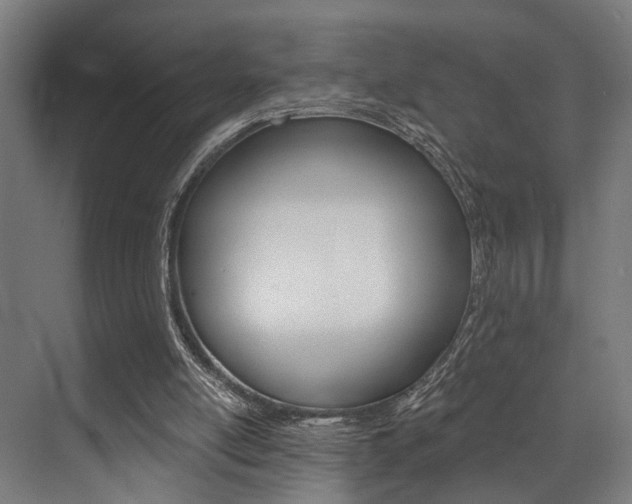 X0000072930054200607210942
