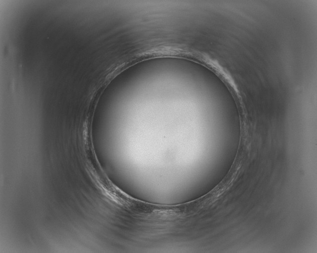 X0000072930057200607210942