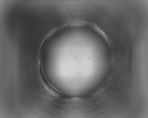 X0000072930059200607210942