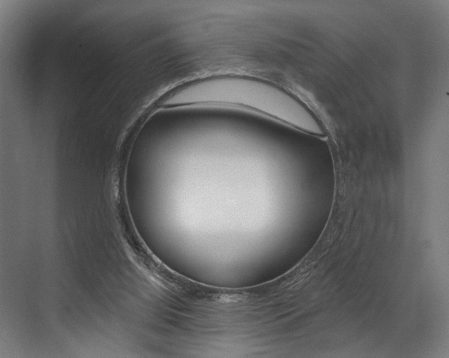 X0000072930060200607210942