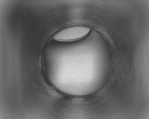 X0000072930066200607210943