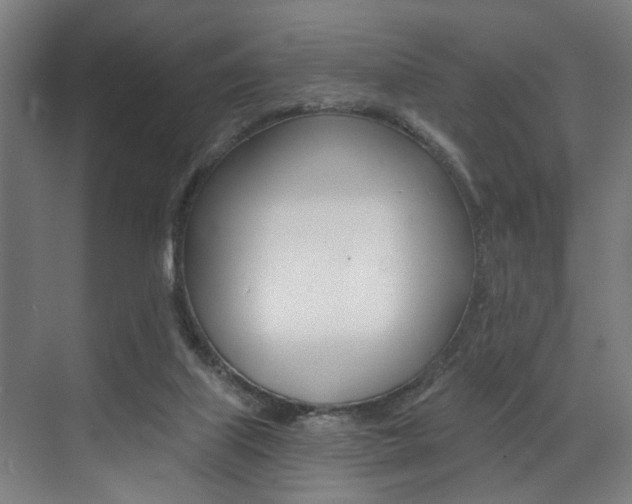 X0000072930067200607210943