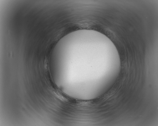 X0000072930081200607210943