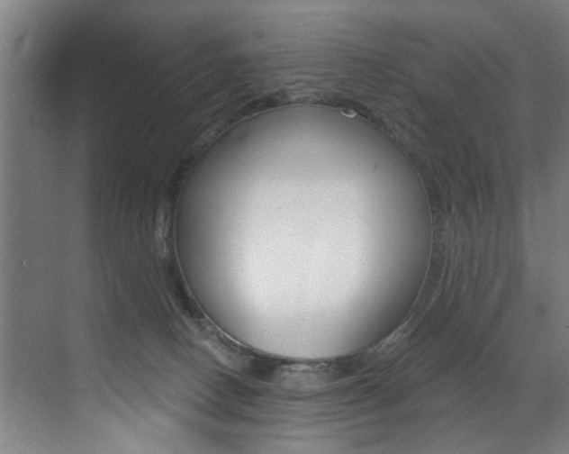 X0000072930082200607210943