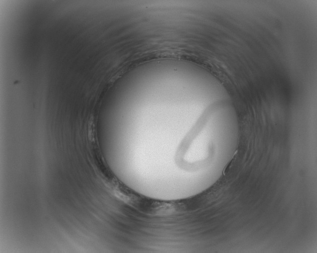 X0000072930083200607210943