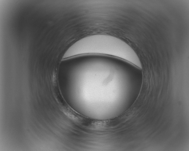X0000072930084200607210943
