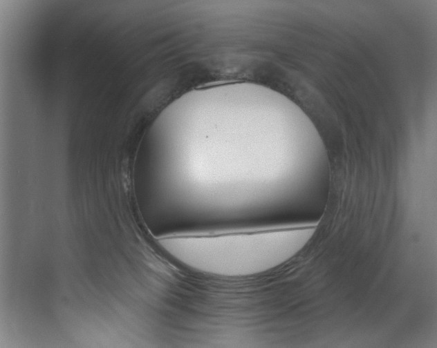 X0000072930085200607210943