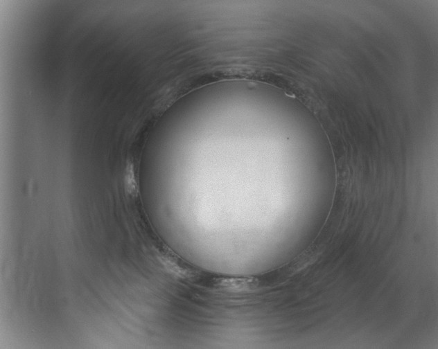 X0000072930089200607210943