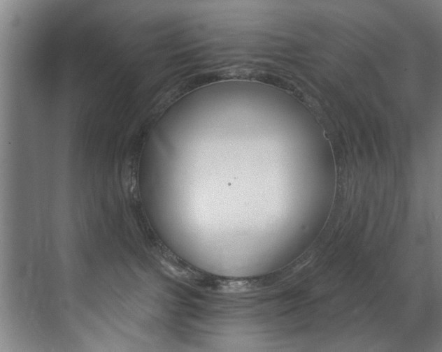 X0000072930091200607210943