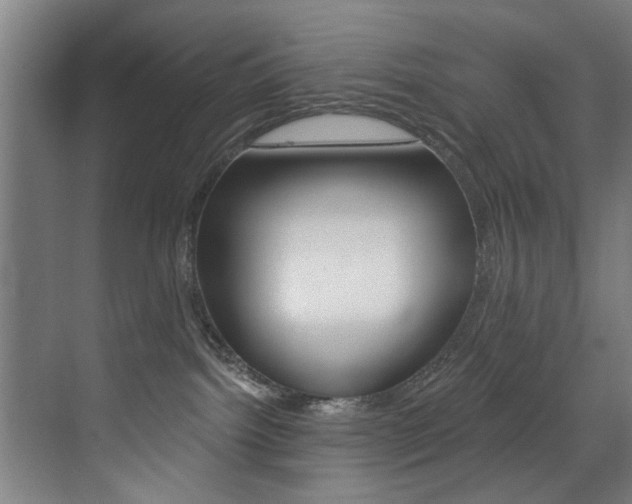 X0000072930092200607210943