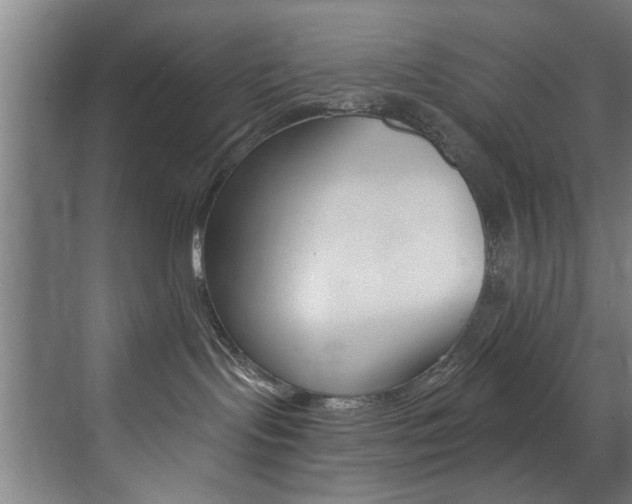 X0000072930095200607210943