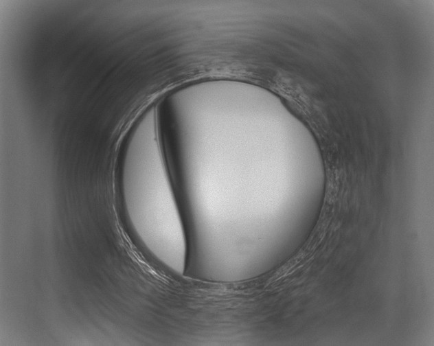 X0000072930098200607210942