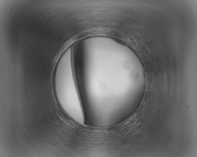 X0000072930099200607210942