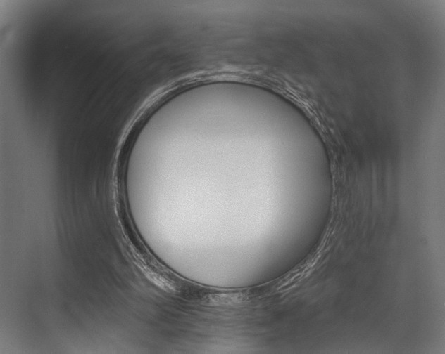 X0000072930102200607210942