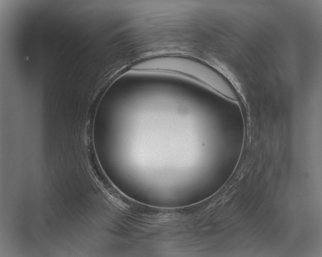 X0000072930105200607210942