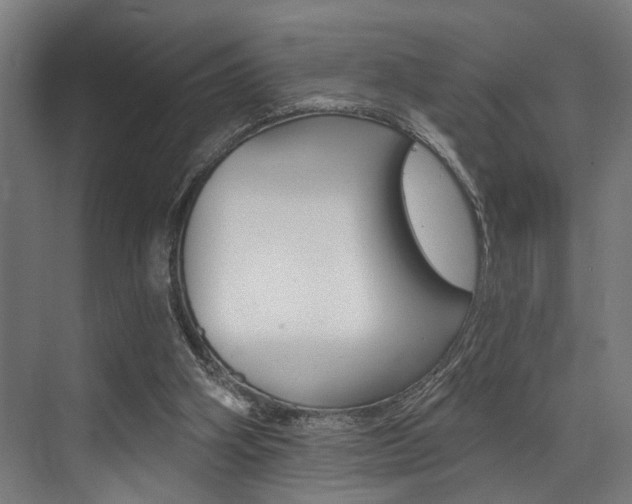 X0000072930106200607210942