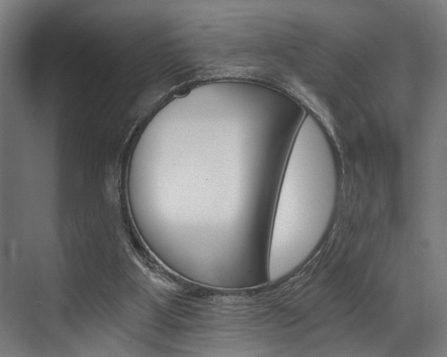 X0000072930107200607210942