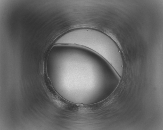 X0000072930109200607210942