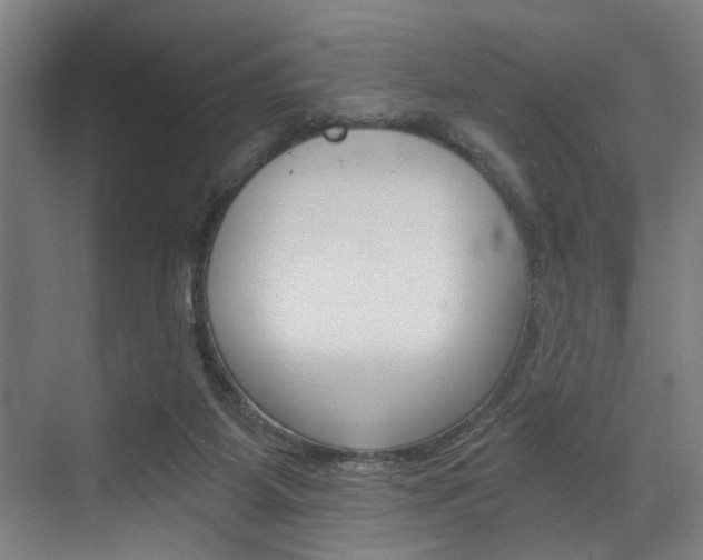 X0000072930115200607210942