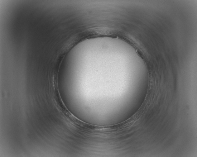 X0000072930117200607210942