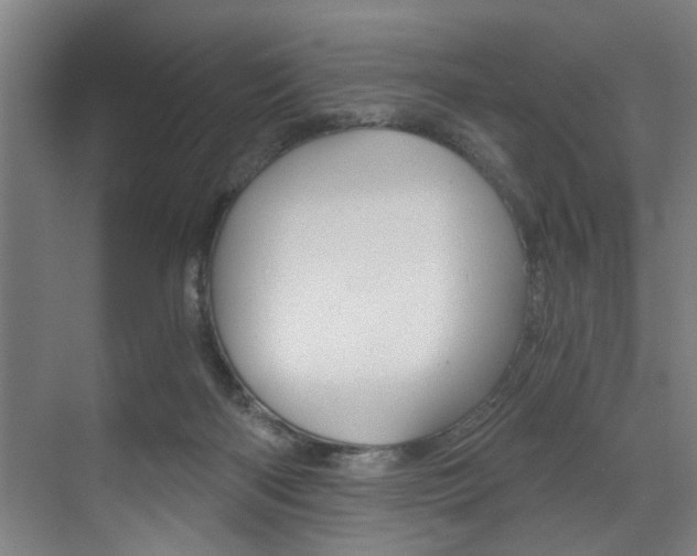 X0000072930122200607210942