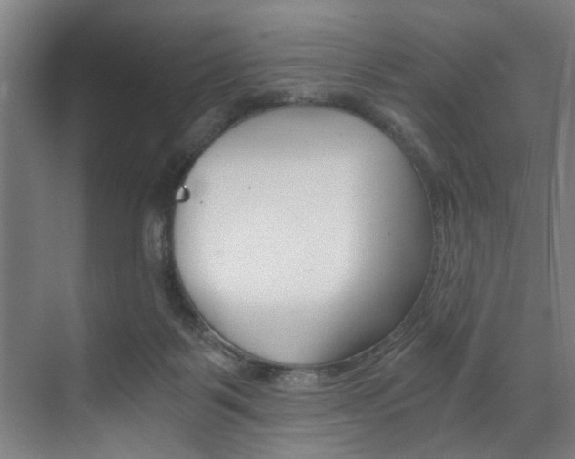 X0000072930123200607210942