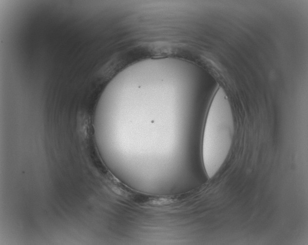 X0000072930125200607210942