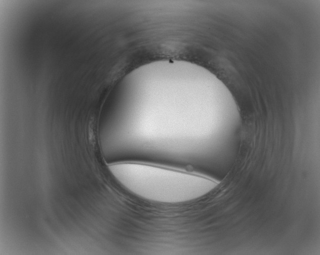 X0000072930131200607210942