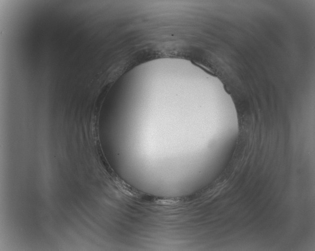 X0000072930139200607210941