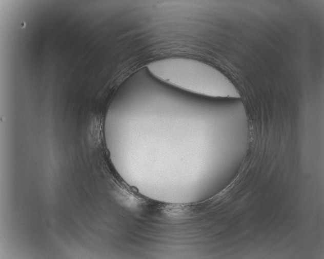 X0000072930142200607210941
