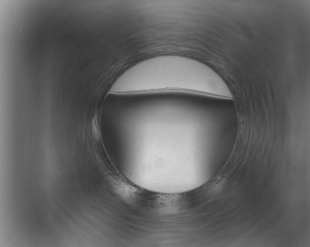 X0000072930143200607210941