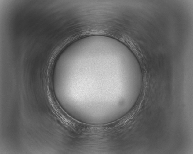X0000072930145200607210941