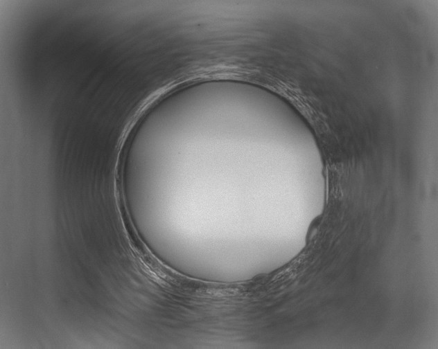 X0000072930147200607210941
