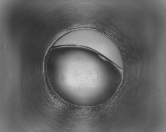 X0000072930148200607210941