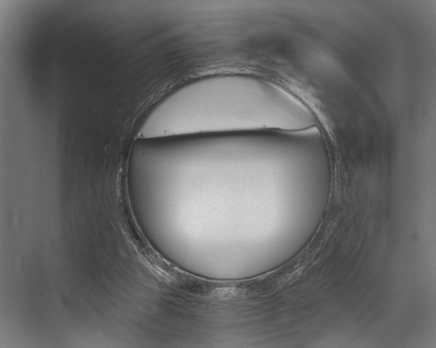 X0000072930153200607210941
