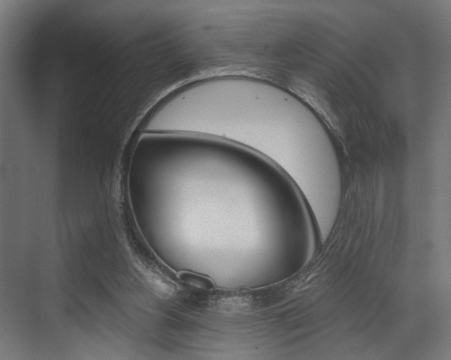 X0000072930156200607210941