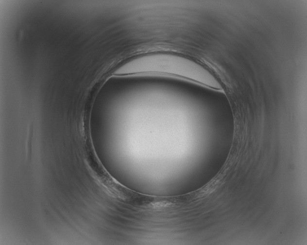 X0000072930158200607210941
