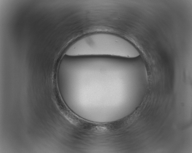 X0000072930159200607210941