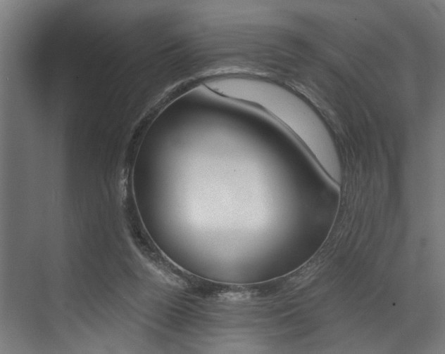 X0000072930160200607210941