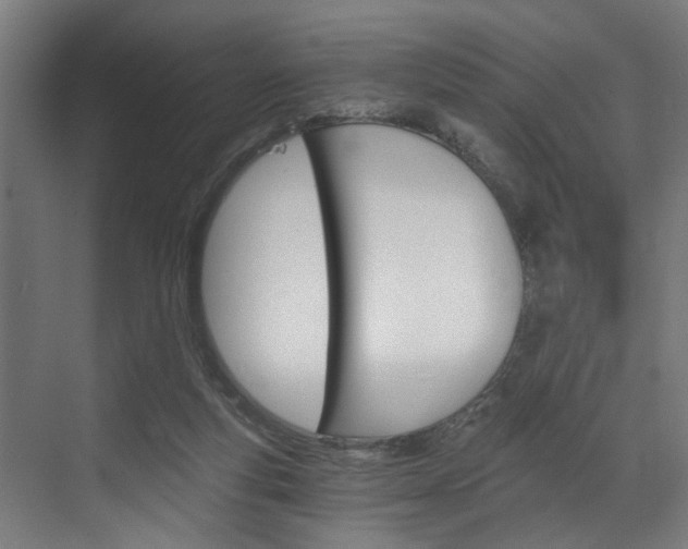 X0000072930163200607210941